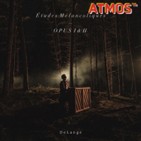 DeLange - Études Mélancoliques - Atmos mixer by Gijs van Klooster